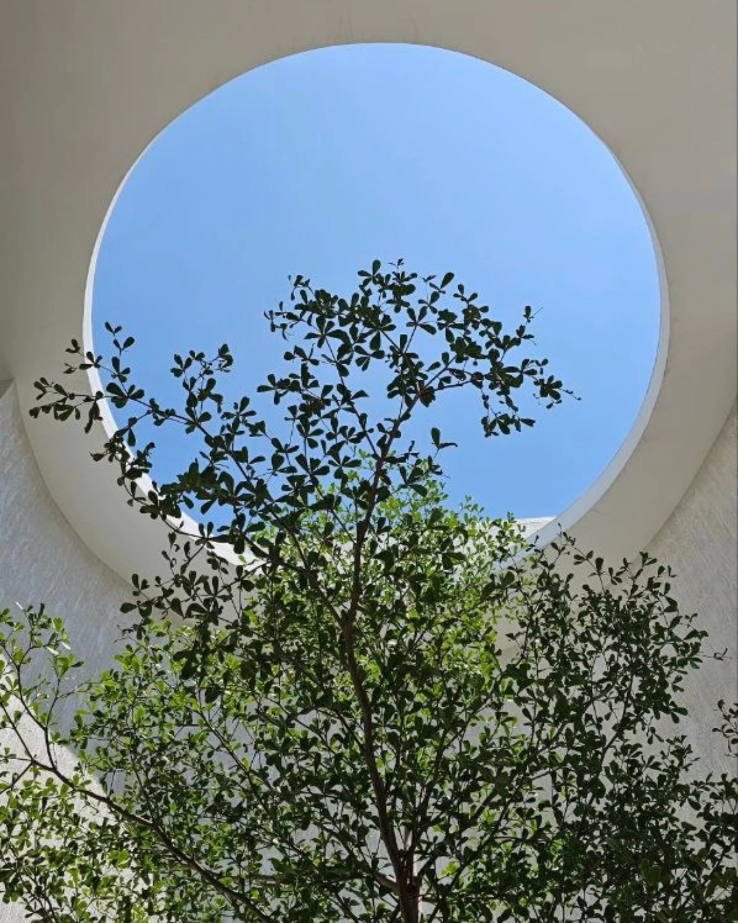 Sulo - A frame for the heavens! This breathtaking oculus is just one of ...