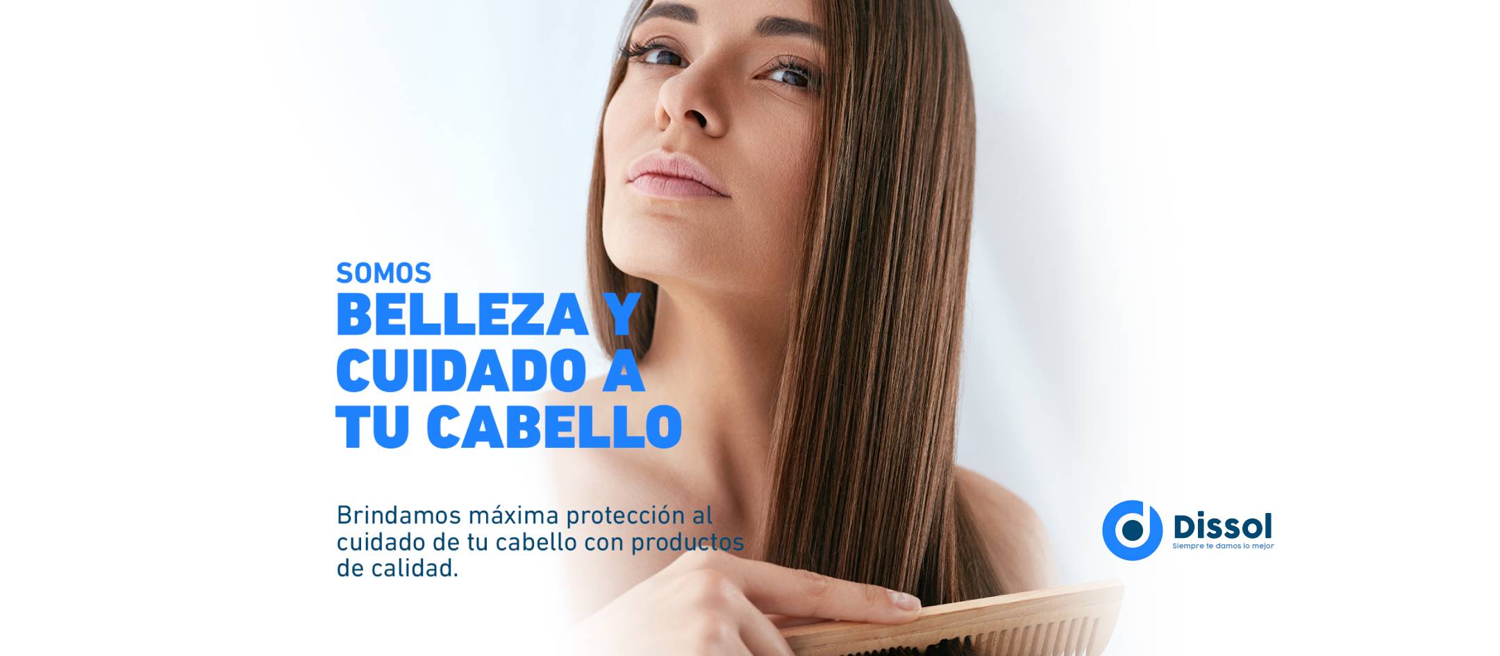 Dissol | Santo Domingo de los Colorados