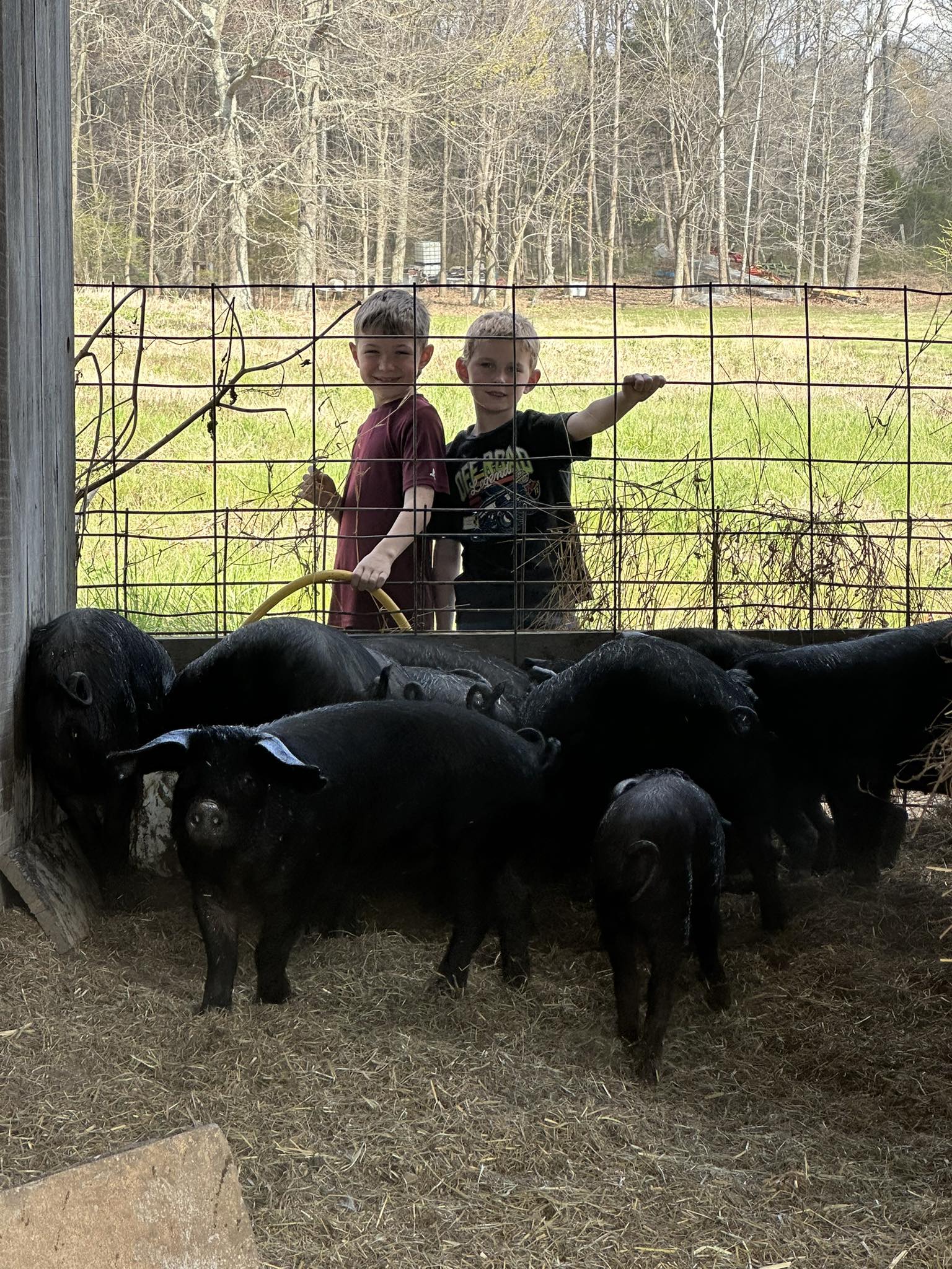 Another load ready to ship!! Vinted... - Jessica N Chad Cox | Facebook