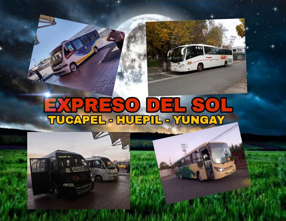 Buses JAPH