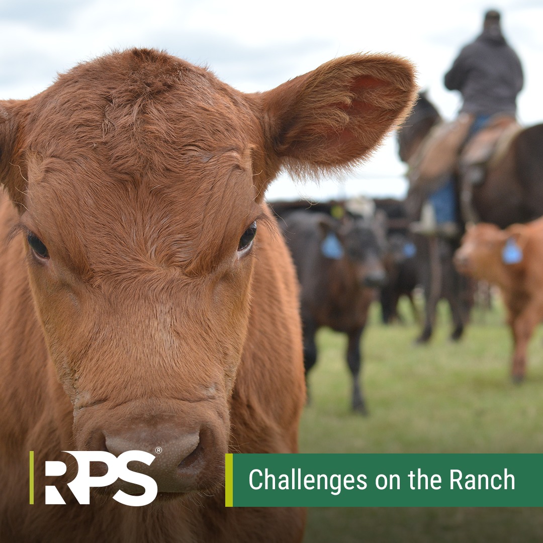 A Texas-sized ranch comes with... - Risk Placement Services