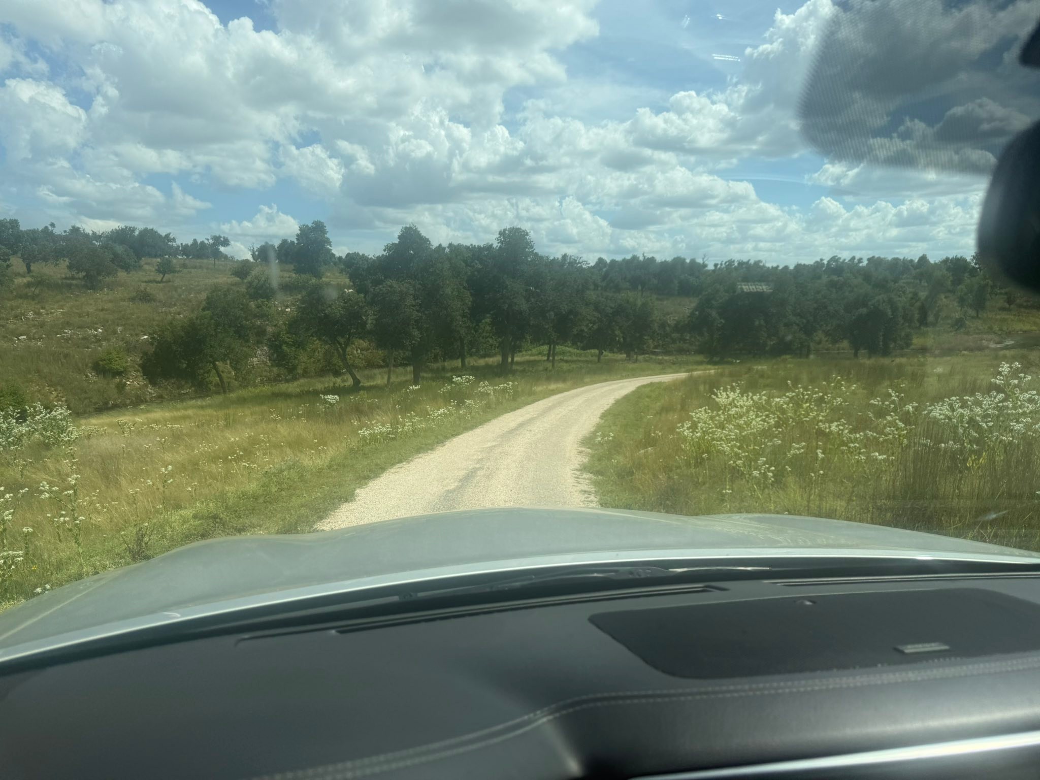 Rikki - Celebrated Kolt this weekend at his ranch and Blumenthal Farms ...
