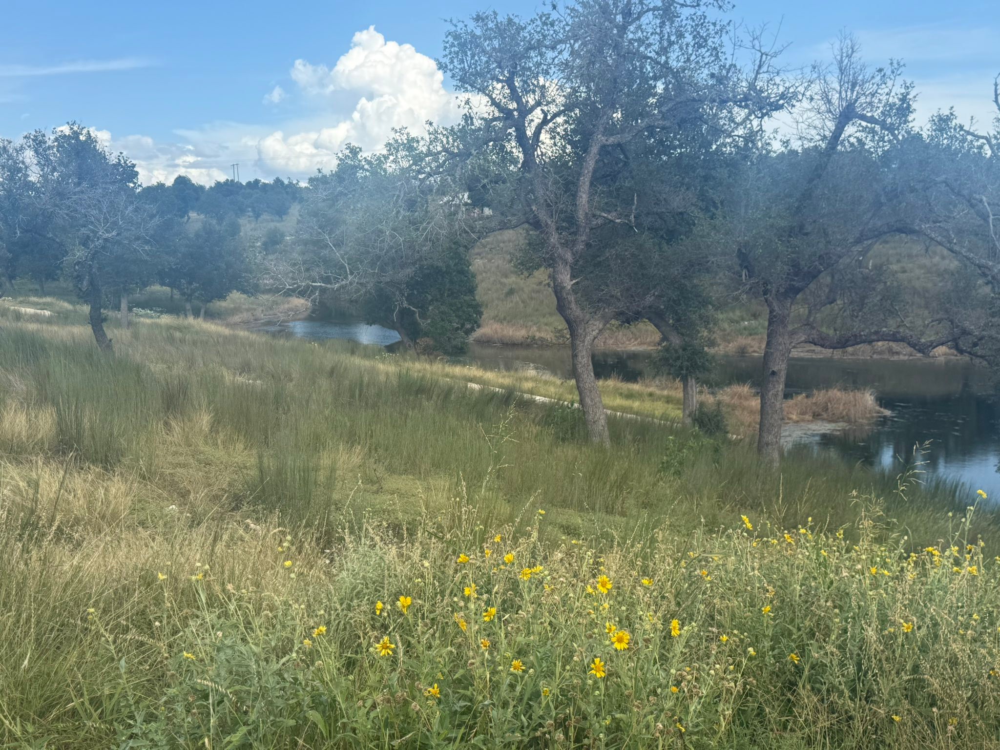 Rikki - Celebrated Kolt this weekend at his ranch and Blumenthal Farms ...