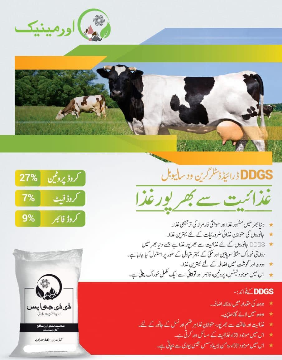 Pakistan Fodder Company | Karachi