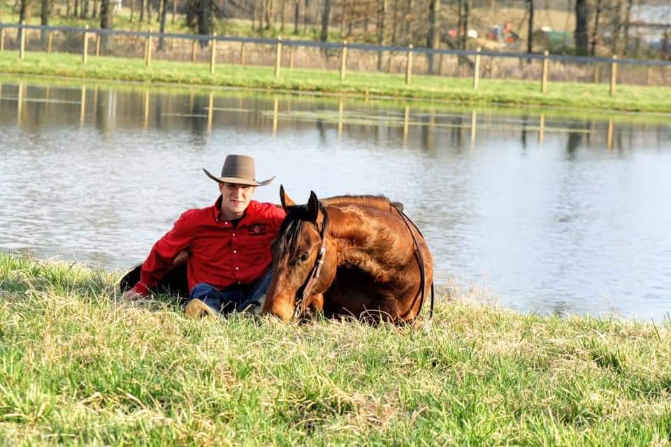 Eash Training Stables - Home