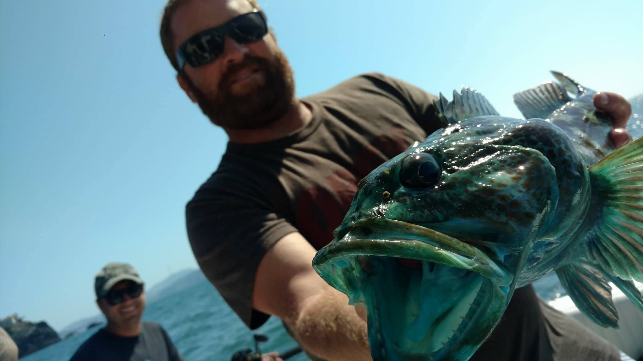 🌊 Super Runner Update! 🌊 That’s a wrap for Lampuki Season 2025! 🎣🐟 Our ...