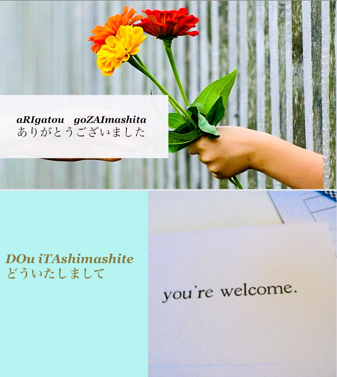 Polite responses to thank you in Japanese