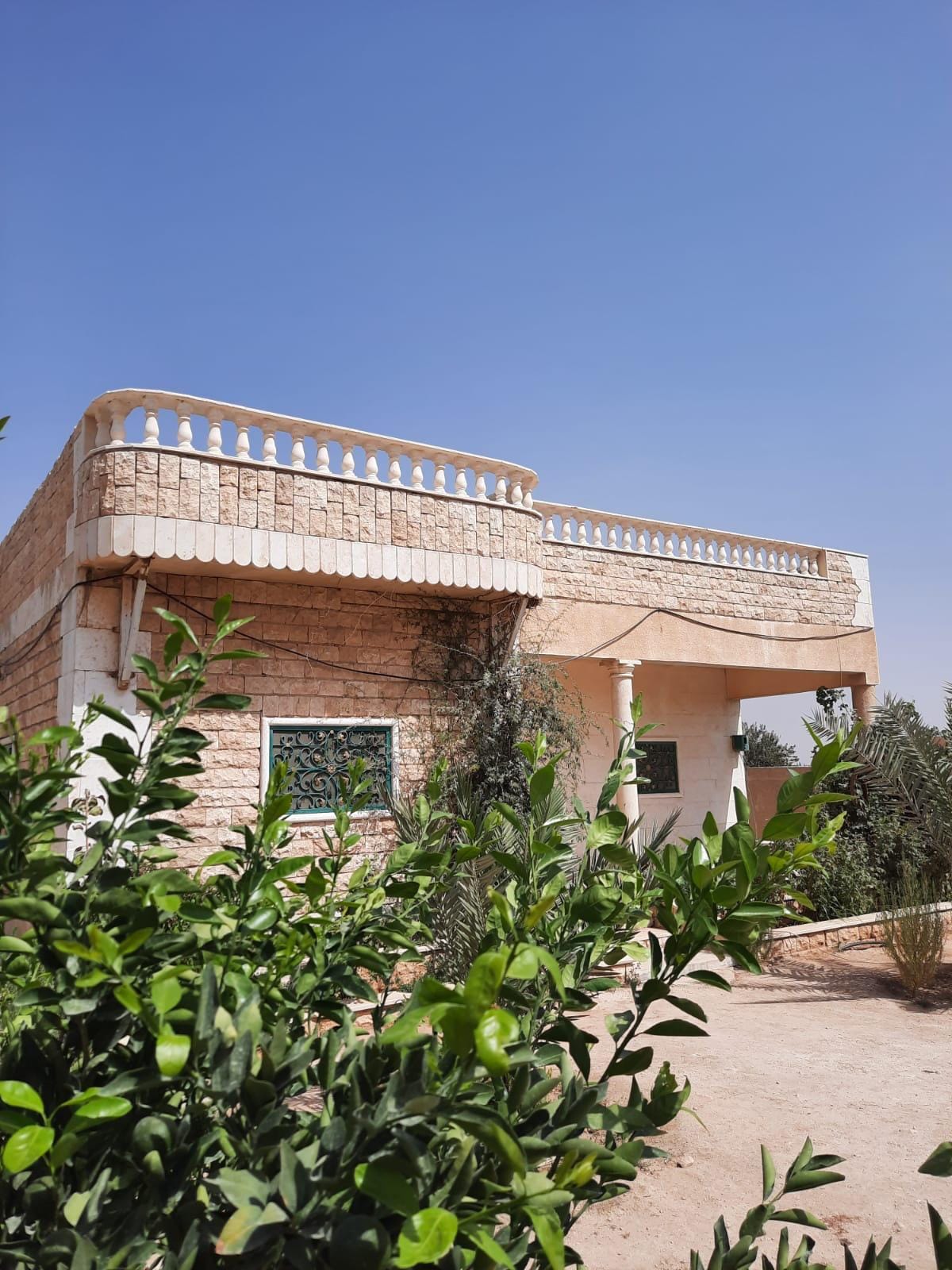 عدنان مامو