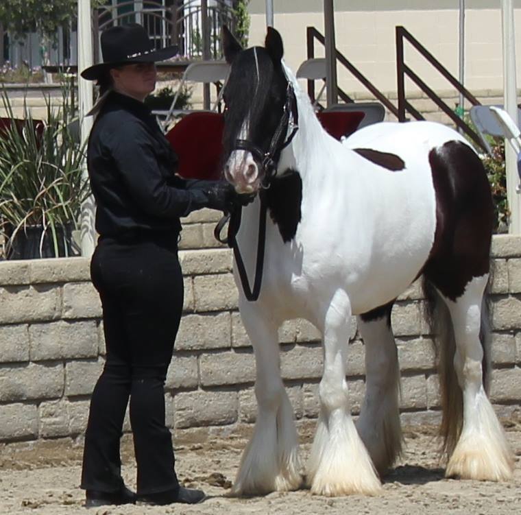 C & B Ranch - A Throwback to our first Gypsy Show in...