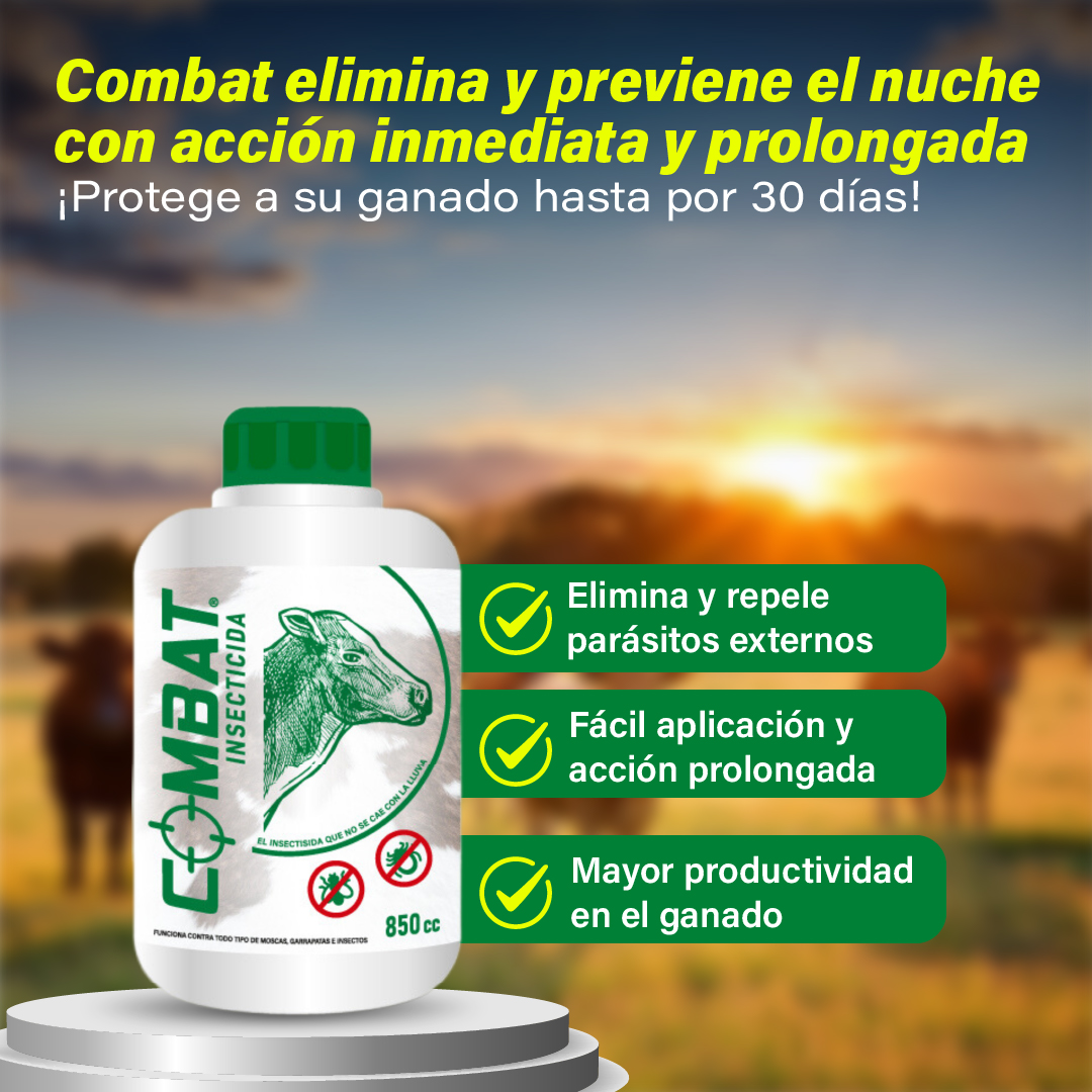 Combat Insecticida