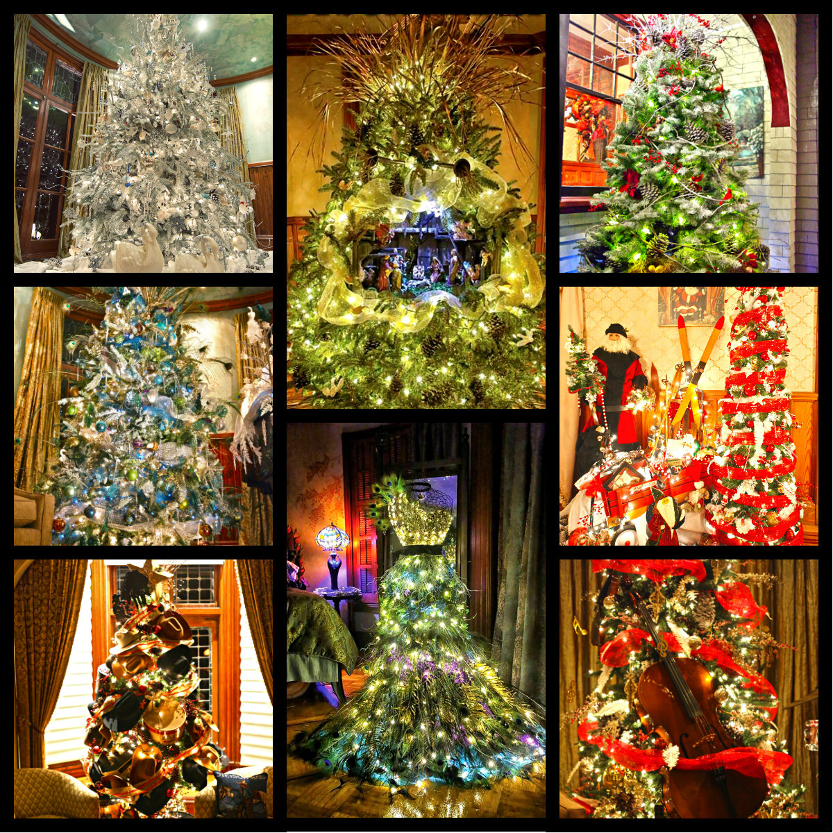 Trees through the years at The... - Stetson Mansion Tours
