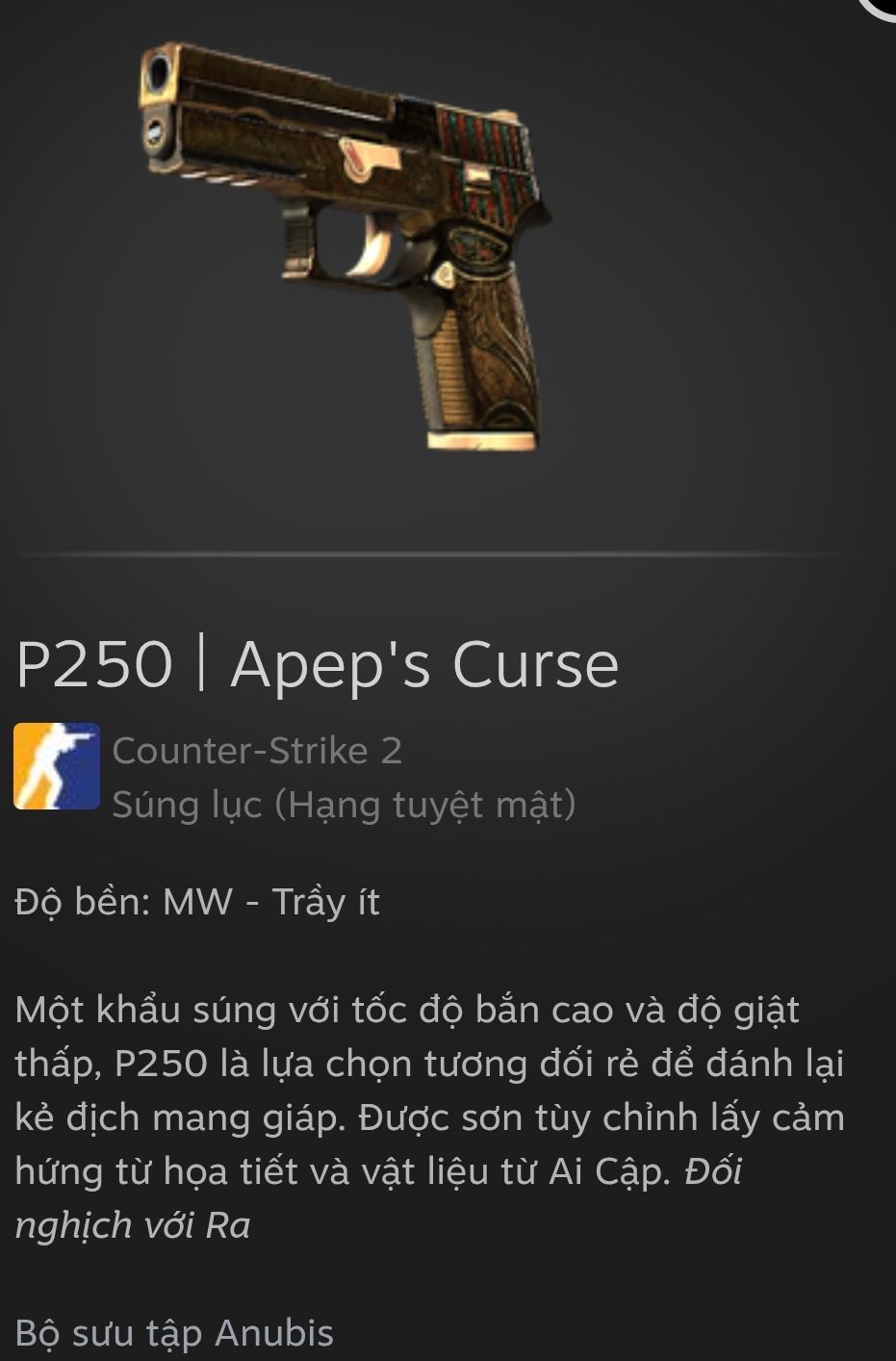 VN-CS:GO Chợ Dời | Facebook