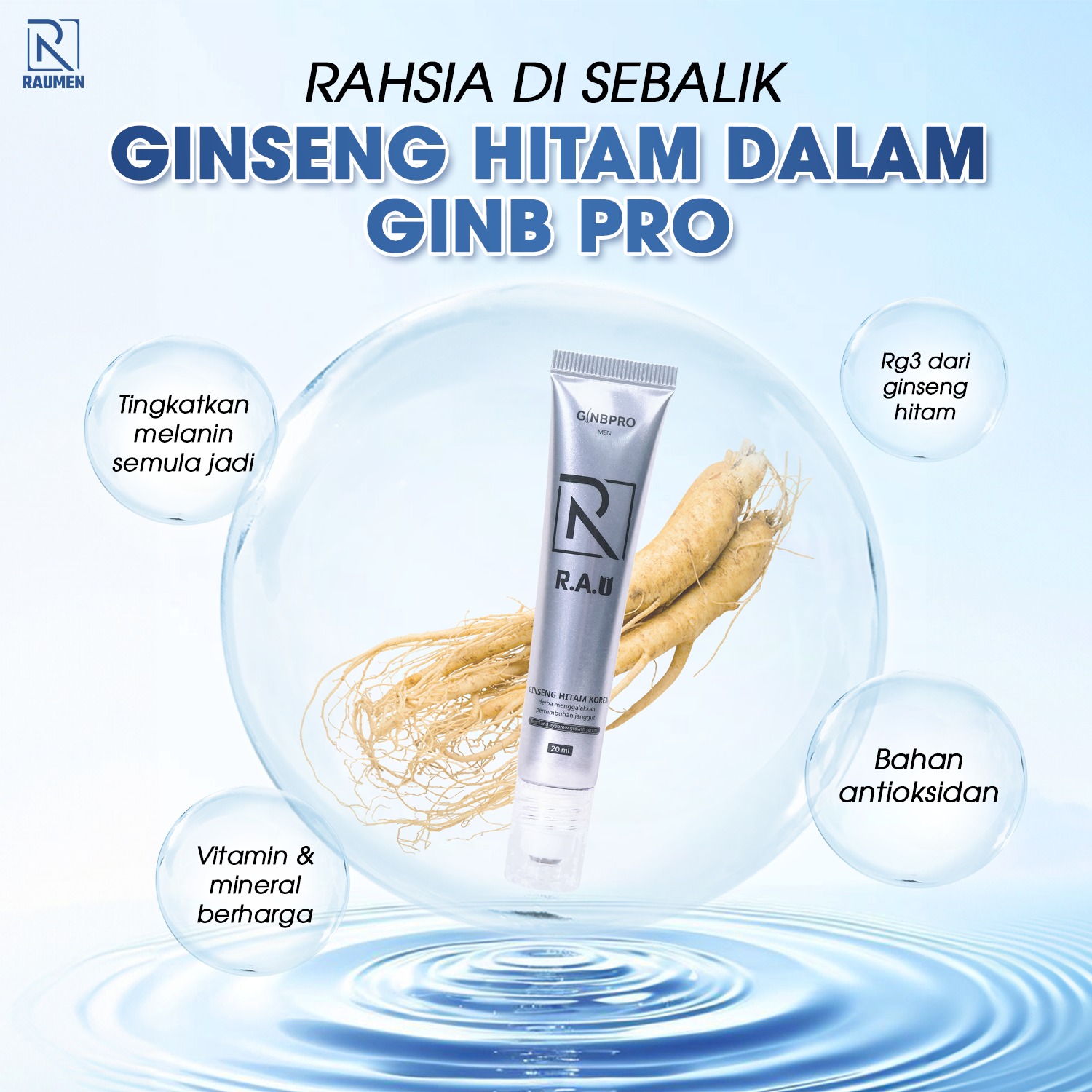 Raumen - Pernah dengar tentang “kuasa tersembunyi” dalam Ginseng Hitam ...