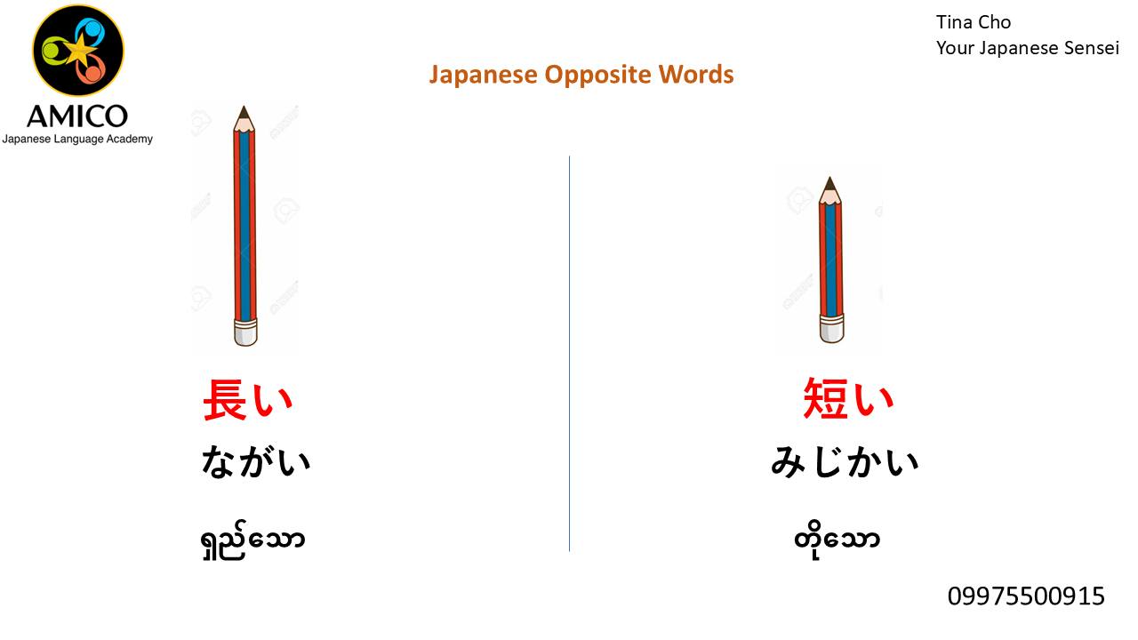 AMICO Japanese Language Academy | Yangon