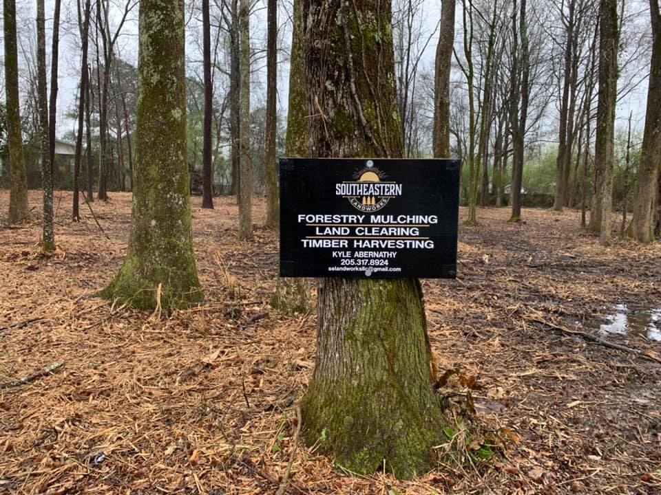 Snider Tree Service, LLC added... - Snider Tree Service, LLC
