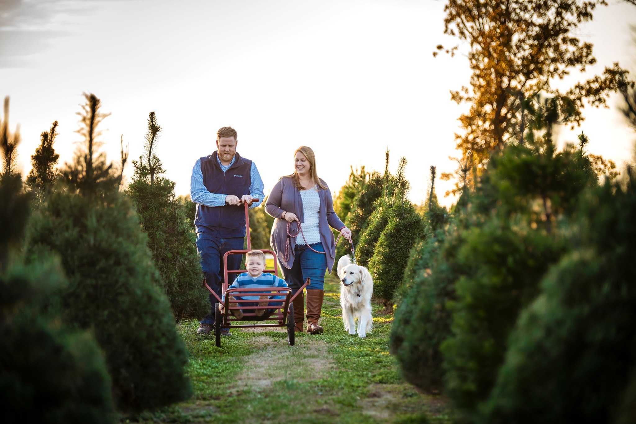 Wonderland Christmas Tree Farm | Pea Ridge AR
