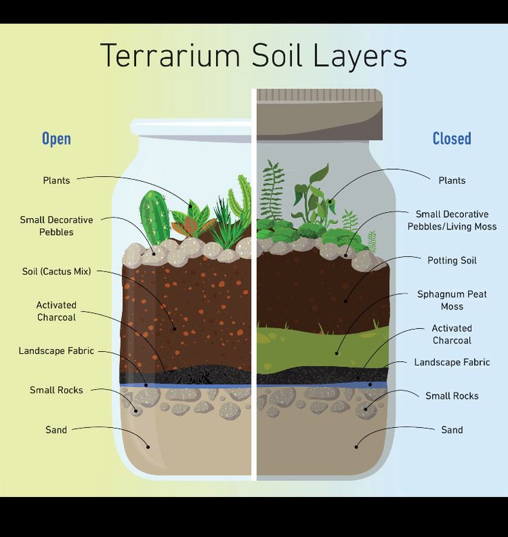 Daily - a detailed breakdown of the soil layers for both open and ...