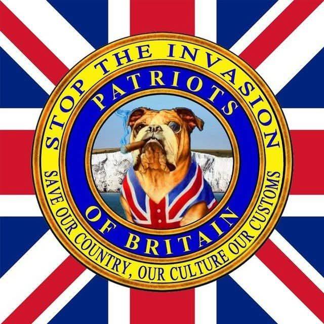 Reptiles For Rehoming UK - No Sales | Adoption list as of 04/03/26 ...