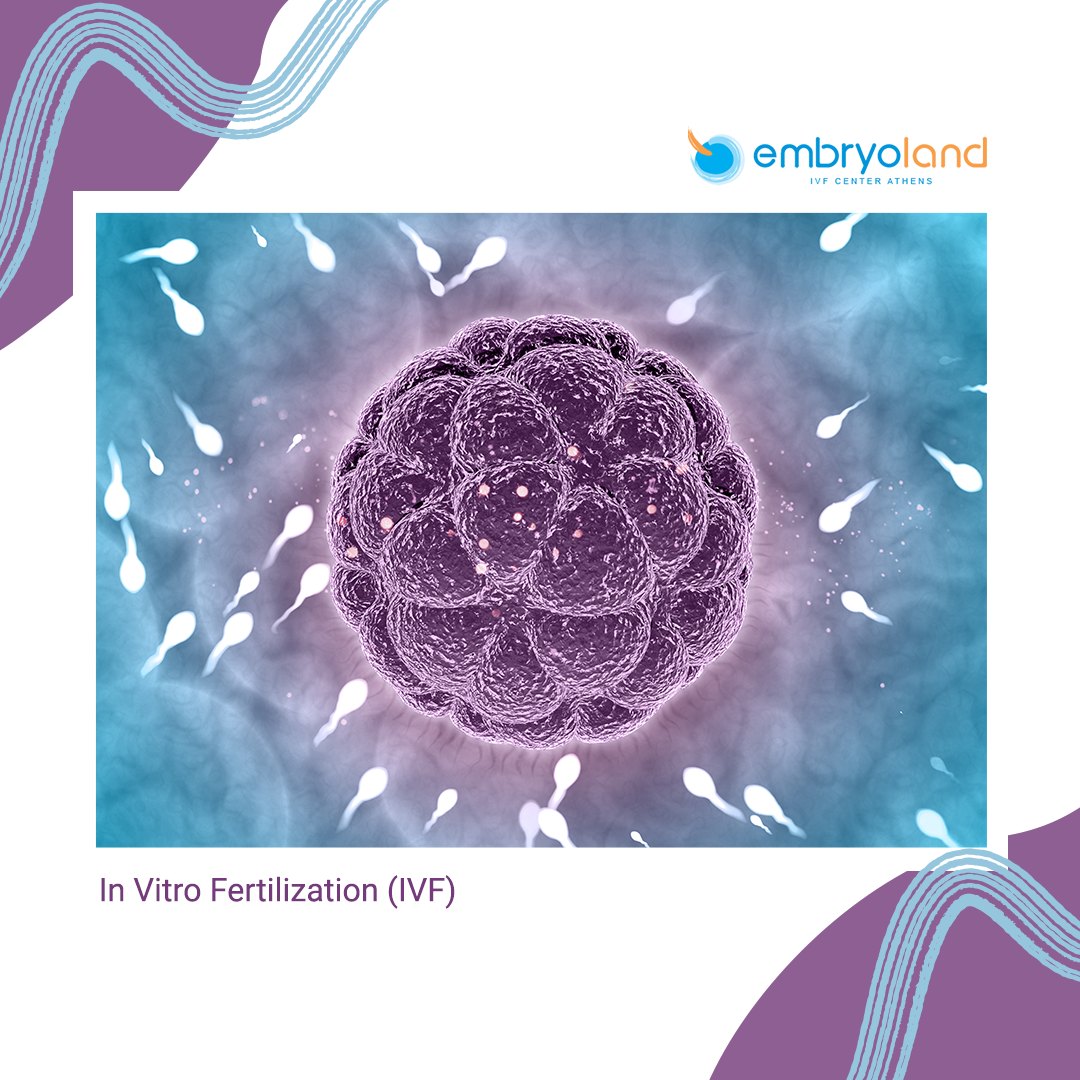 The process of In Vitro... - Embryoland - IVF Center Athens