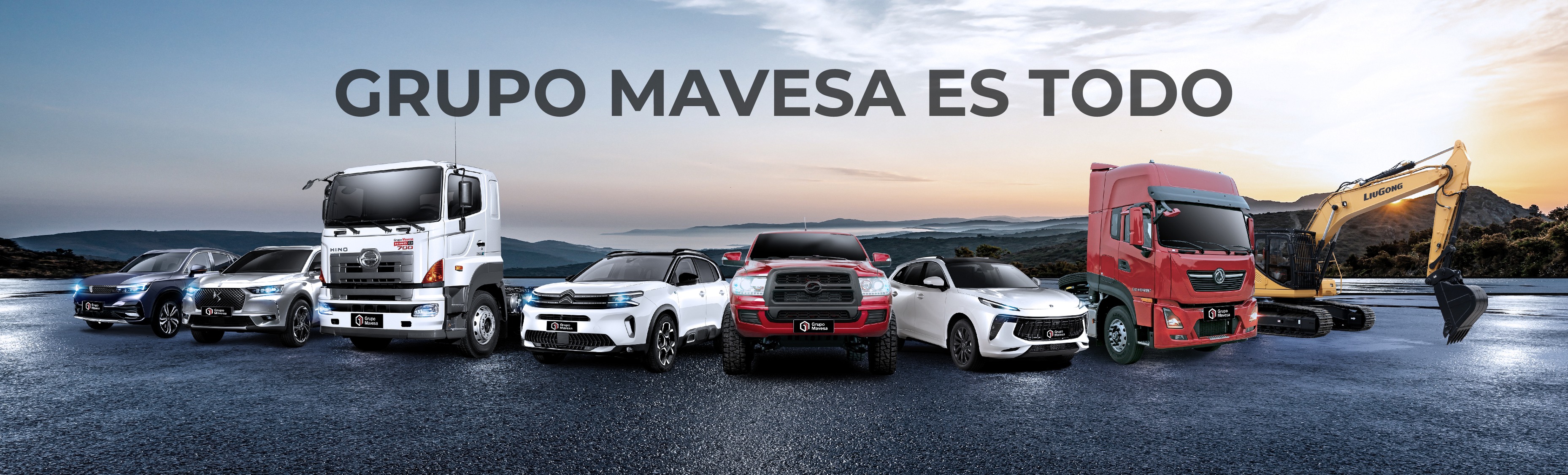 Grupo Mavesa