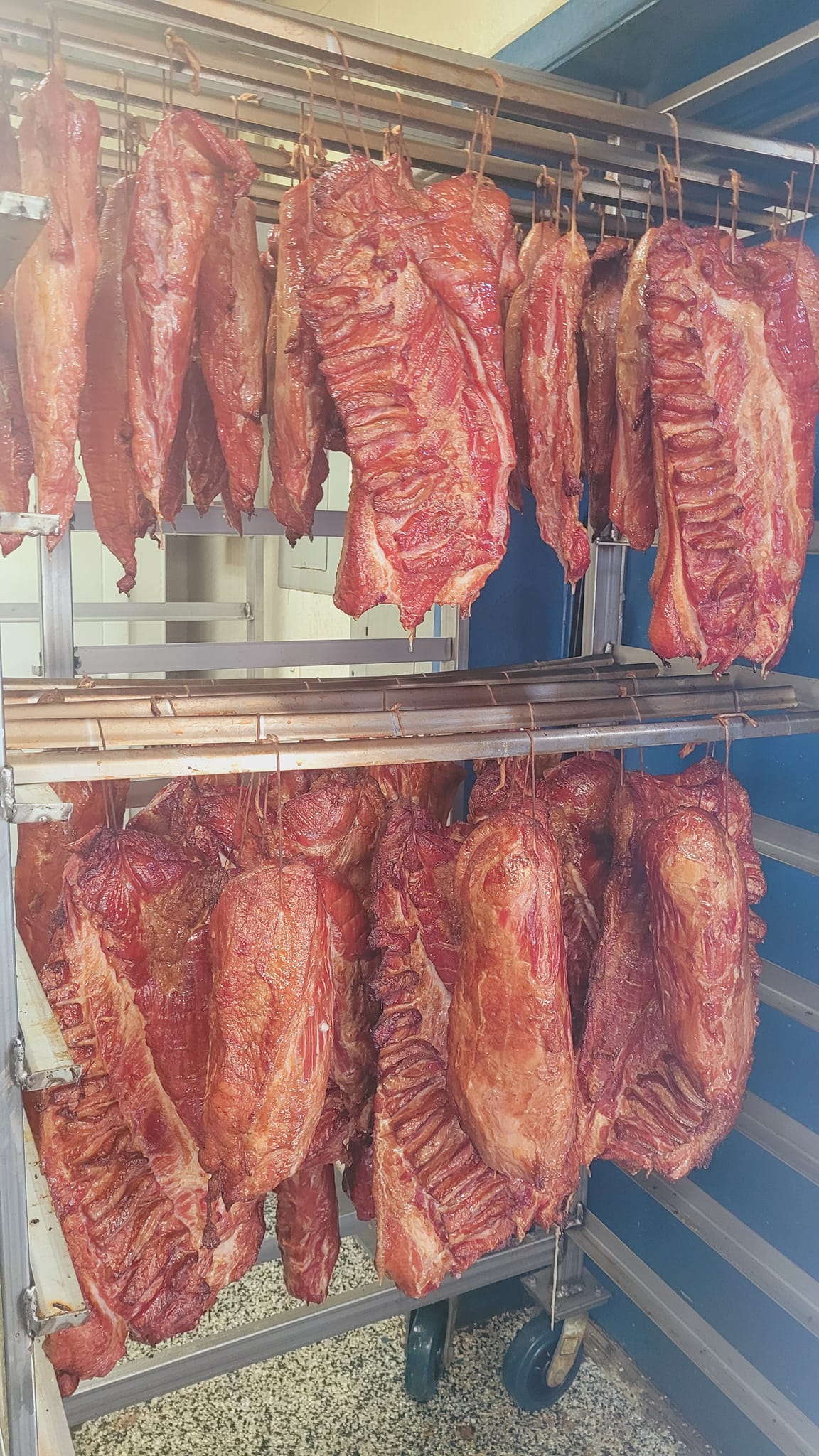 Fish Time | Park Ridge IL