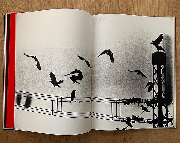 Masahisa Fukase's photobook 'Kill the Pig' hardback edition