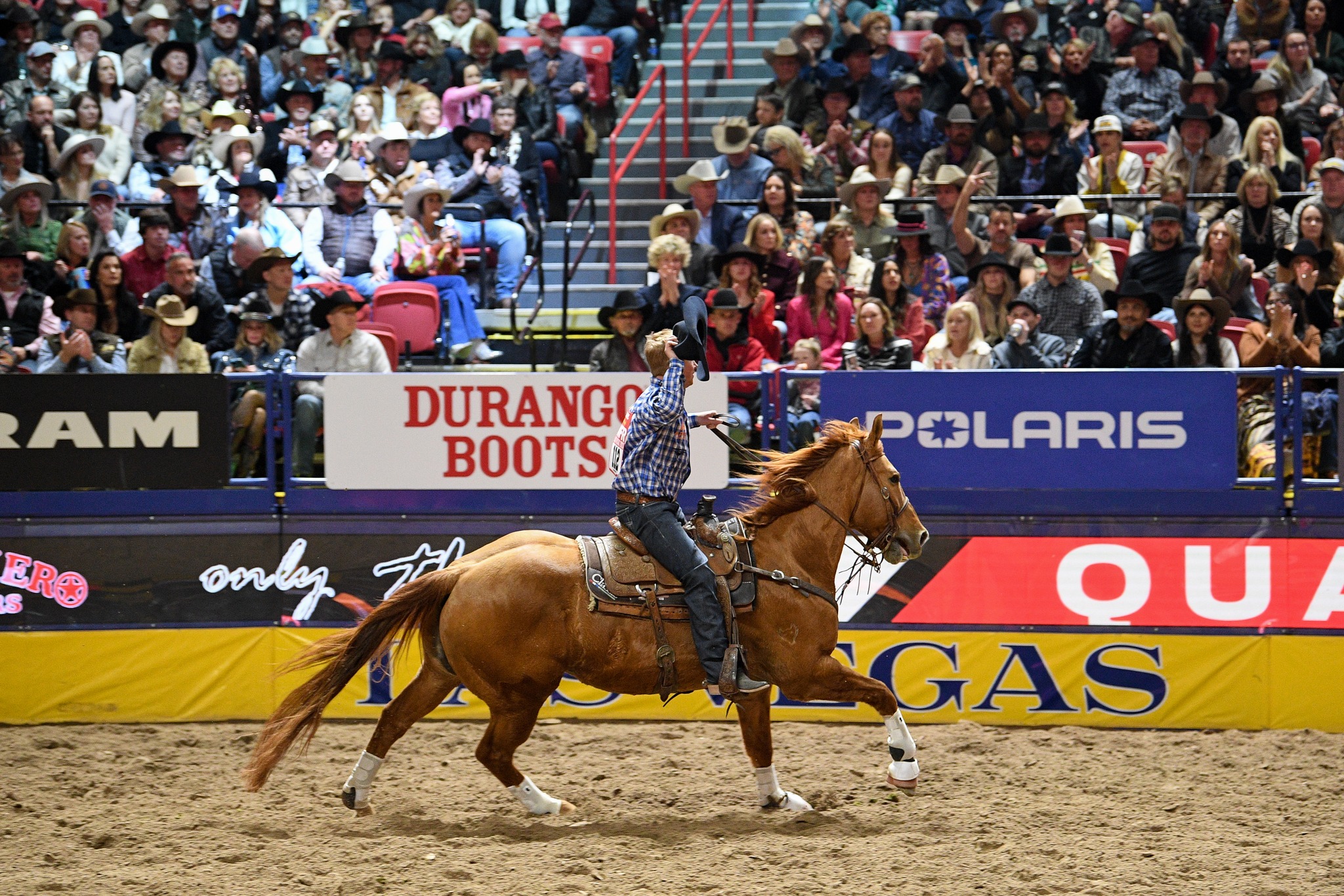 The Team - Recognize the big dun horse Clint Summers has dominated the ...