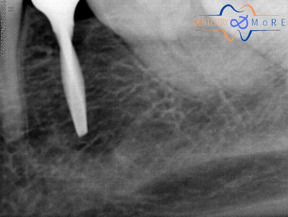New Smile Dental Clinic