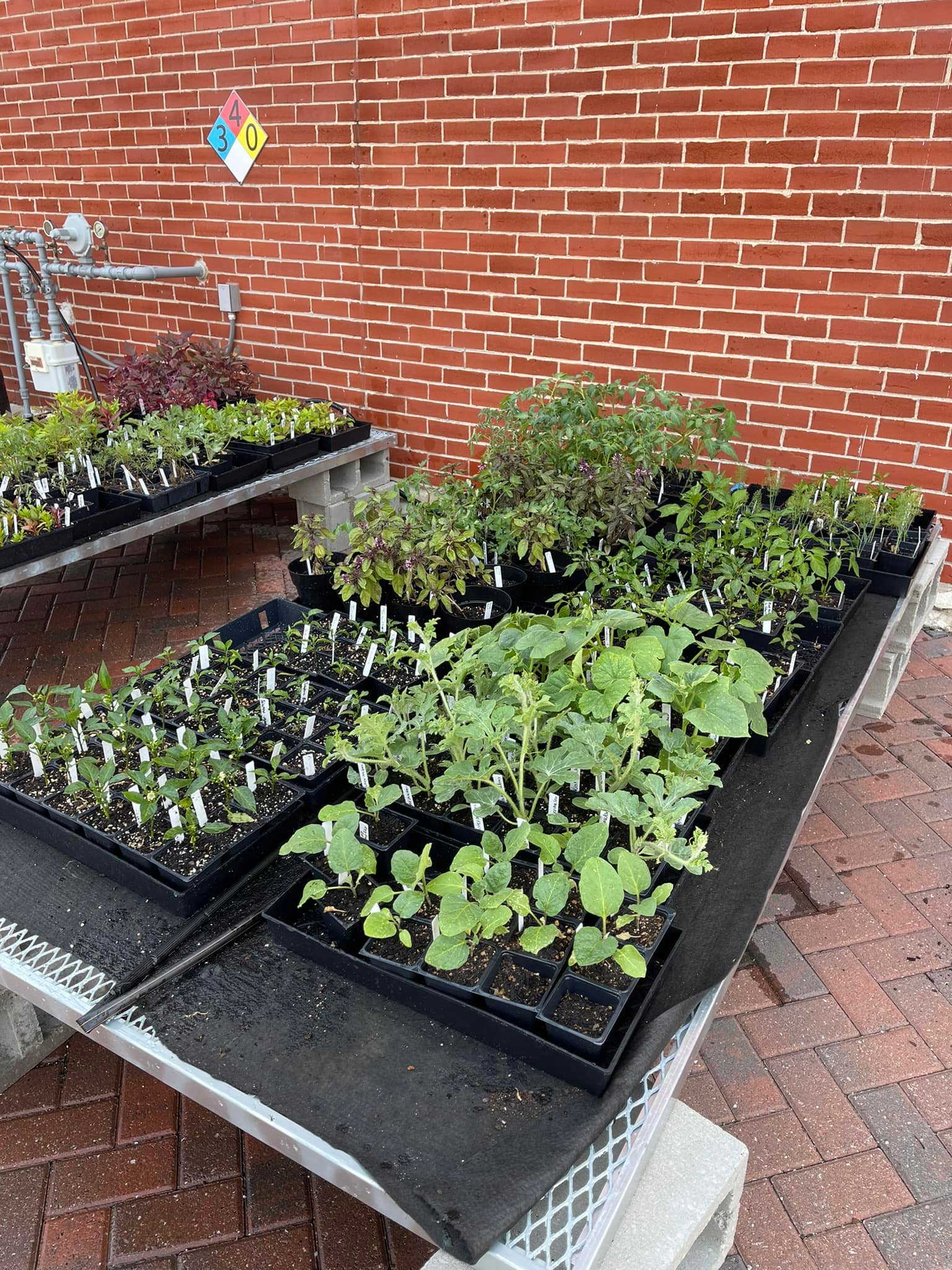Our Greenhouse just dropped off new... - USDB Sales Store