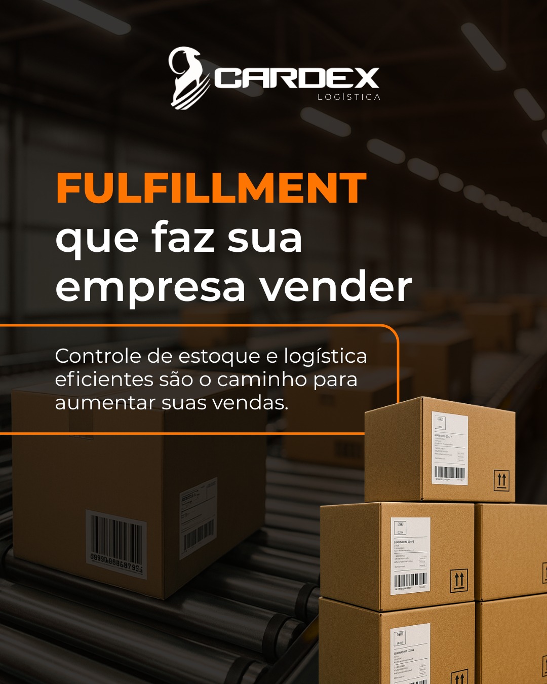 Cardex Logistica