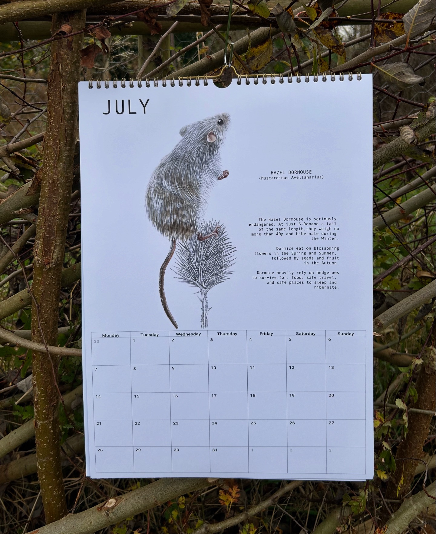 🐭 July 🐭 - - - - - - - - - - #artist... - Chloe Hartnell Art | Facebook