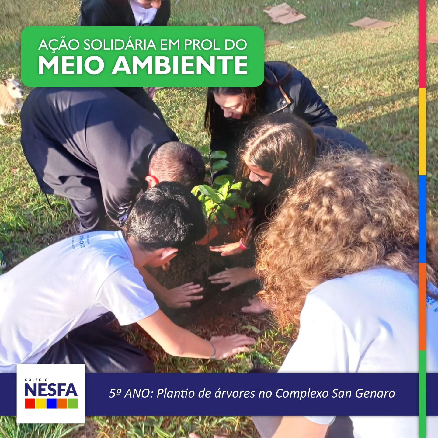 Colégio NESFA - 🌟 Nossos alunos do 5º ano, como...