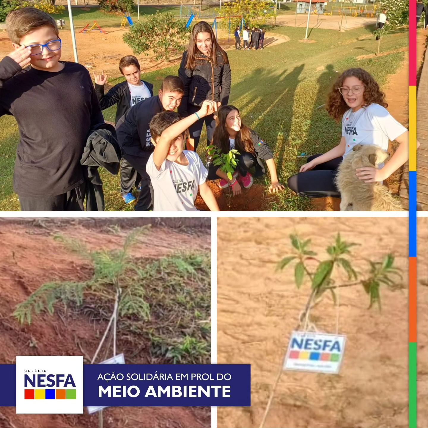 Colégio NESFA - 🌟 Nossos alunos do 5º ano, como...