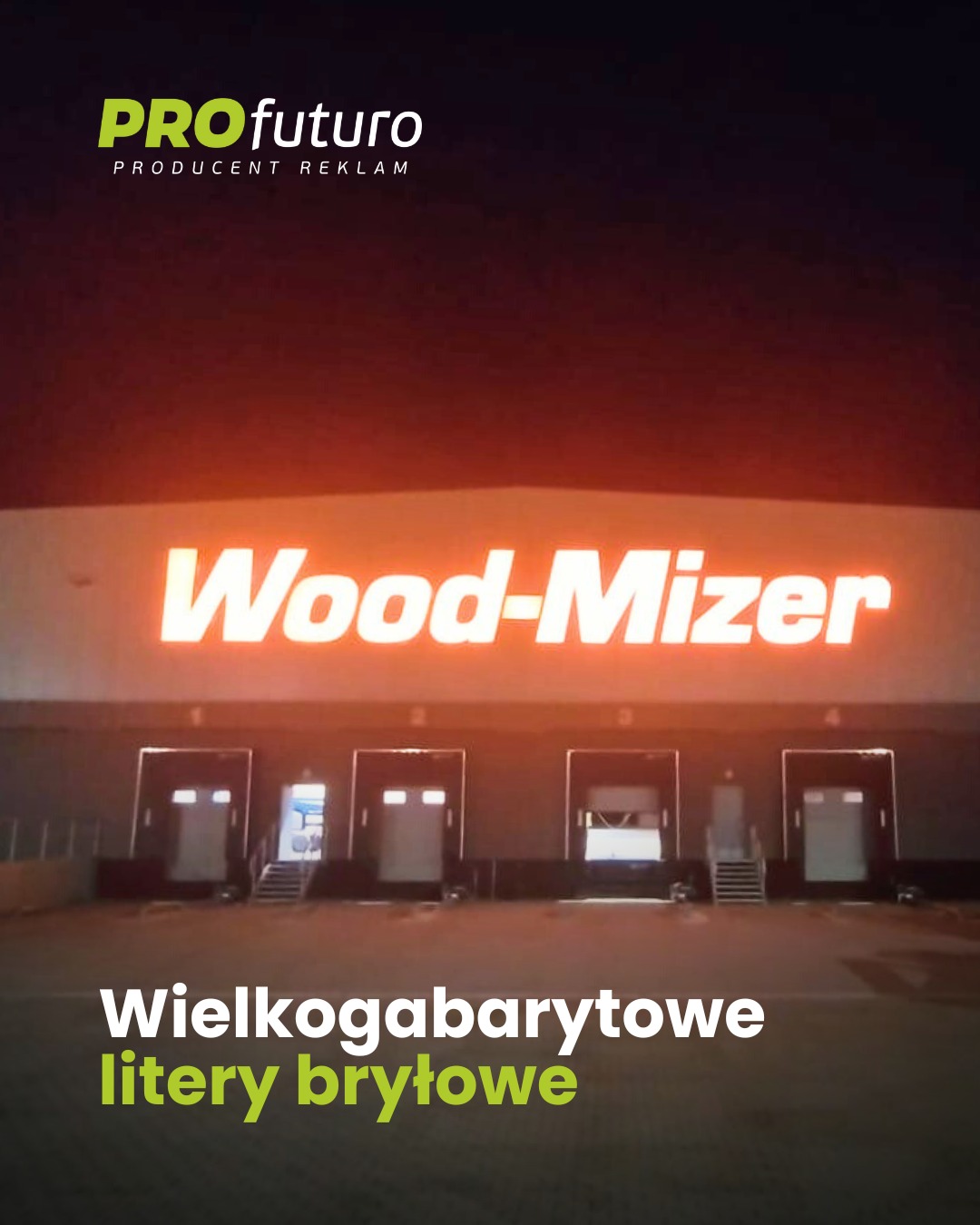 PROfuturo - producent reklam | Lisi Ogon