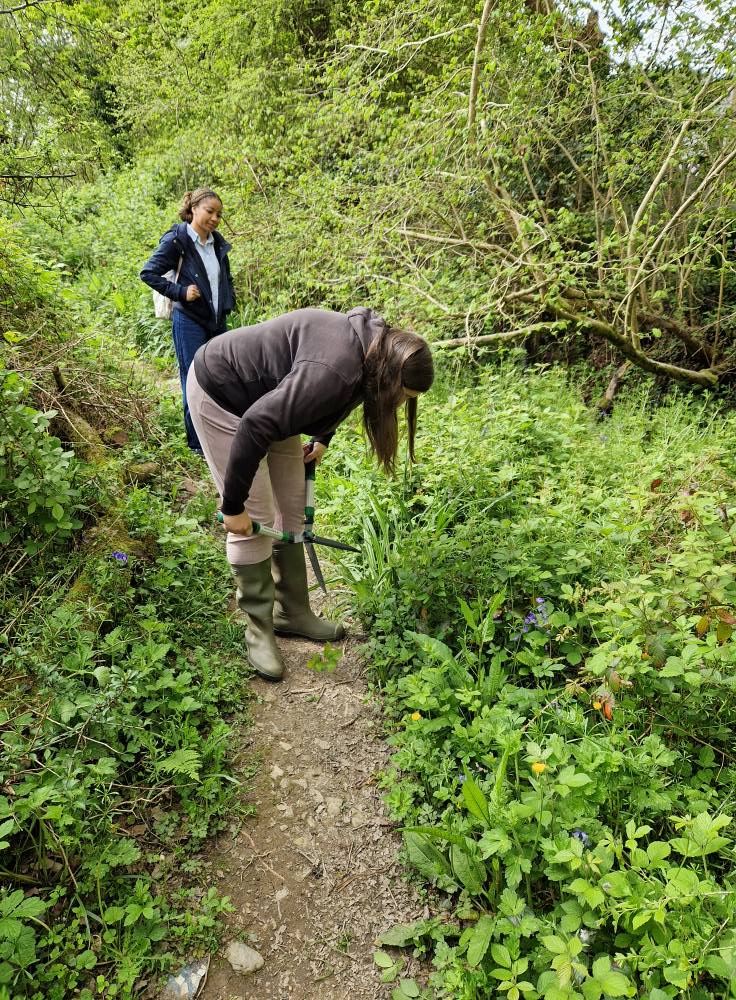 Truro's Countryside Rangers... - Truro's Countryside Rangers