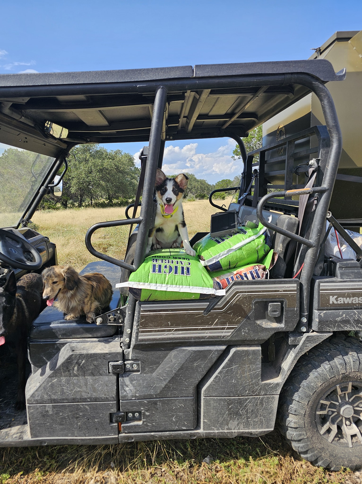 3D Herders Boarding, Training and More | Paige TX