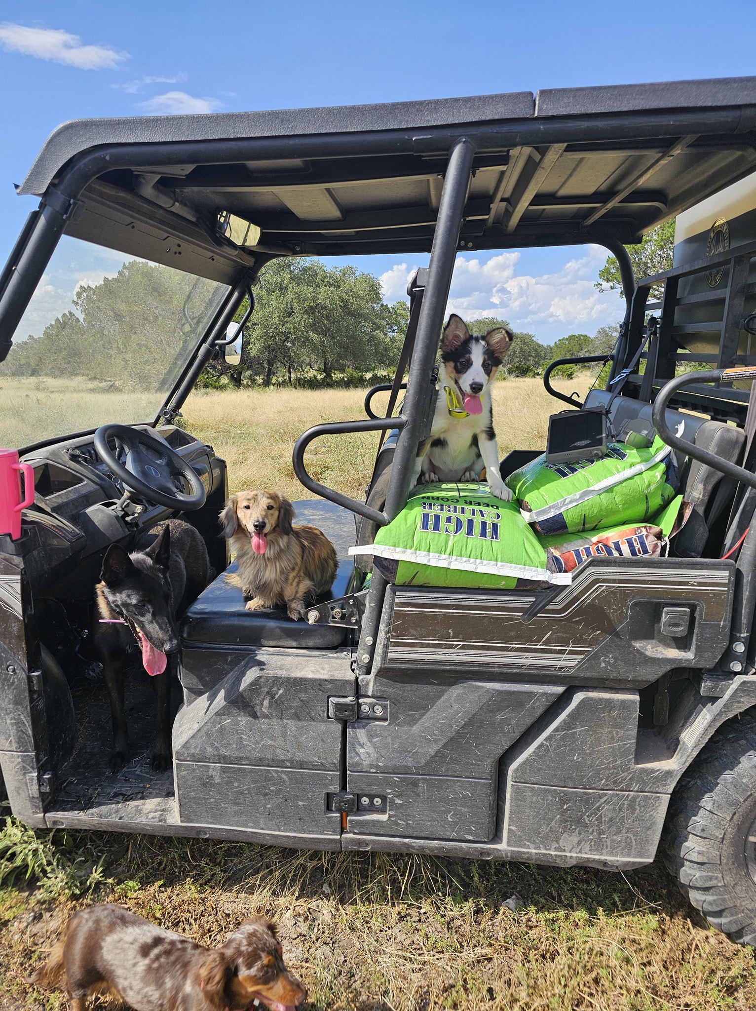 3D Herders Boarding, Training and More | Paige TX