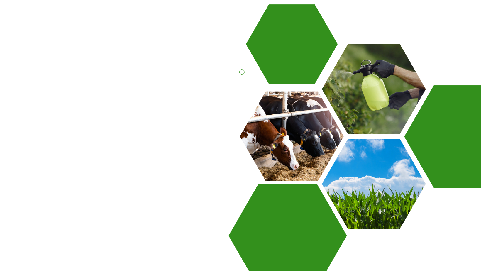 Agro Pro - 👀 Aplicación comercial de nuestro insecticida Target 24 SC ...