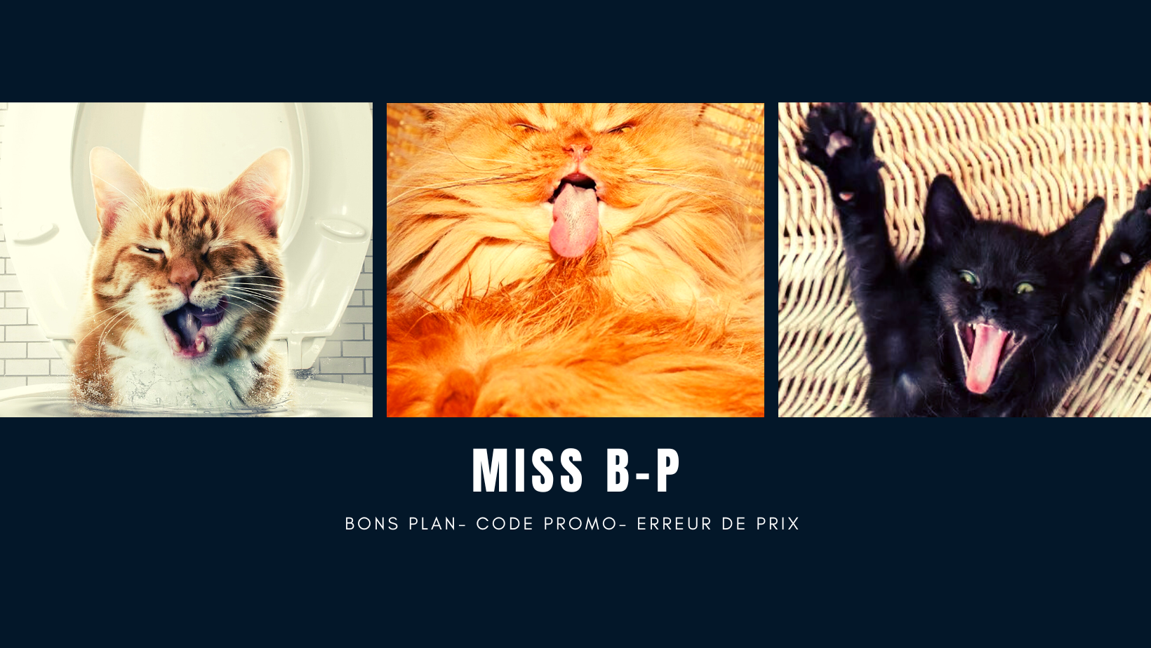 Miss Bons Plans à L'ouest