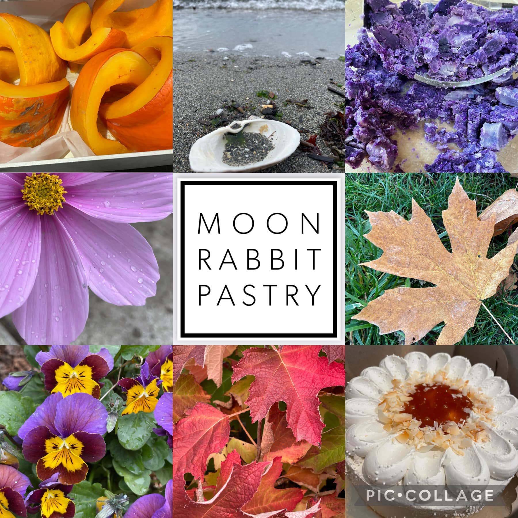 Today on this Aloha Friday- Get to... - Moon Rabbit Pastry