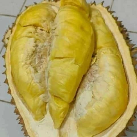 Bursa Aneka Jual Beli Baru&Bekas Jogja, Klaten dan Sekitarnya | Promo ...