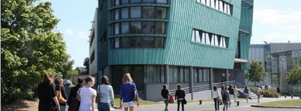 La sous-section... - Odontologie Rennes - Université Rennes 1 | Facebook