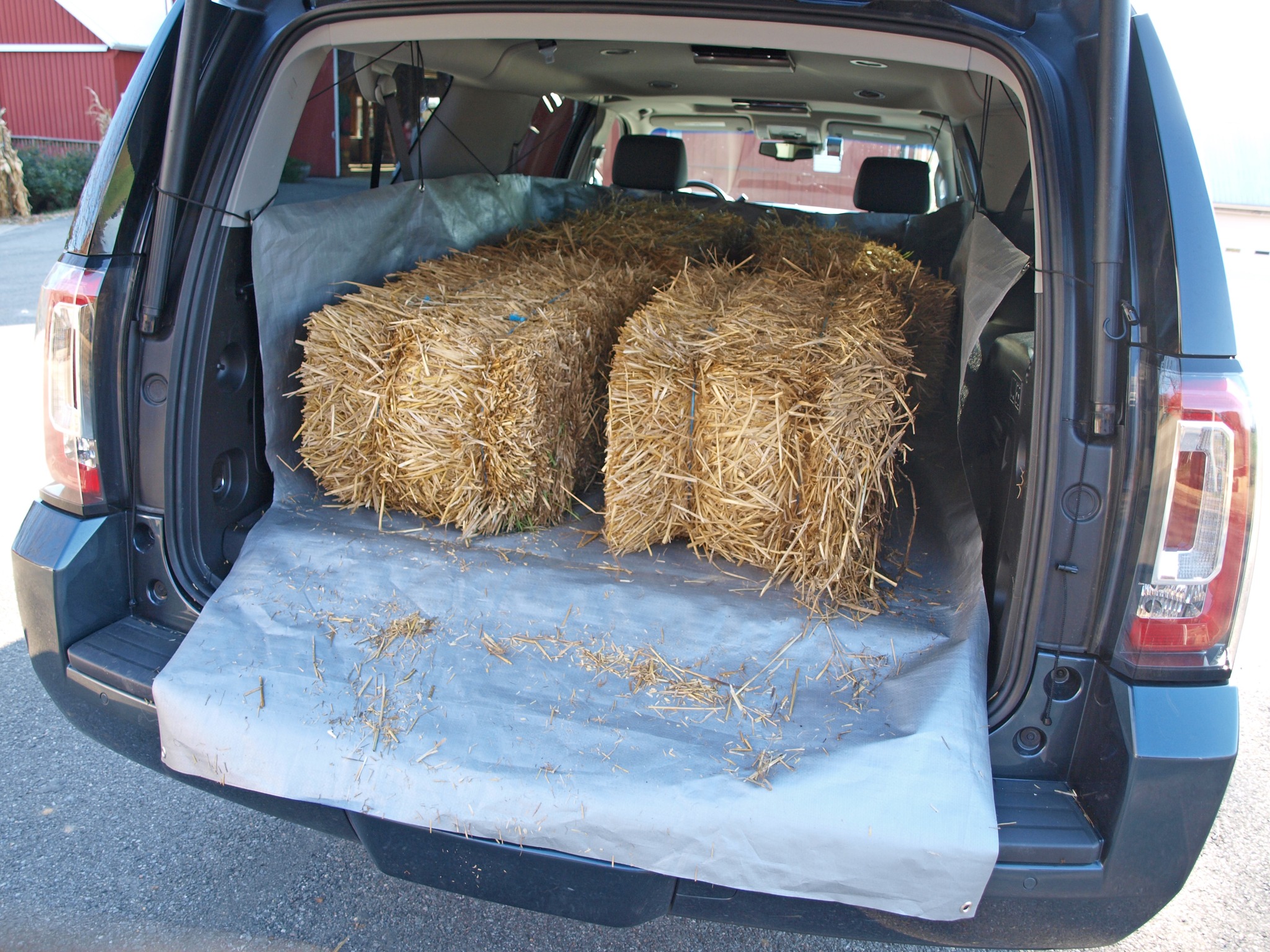 Cargo Apron SUV Cargo Area Liner with Sides