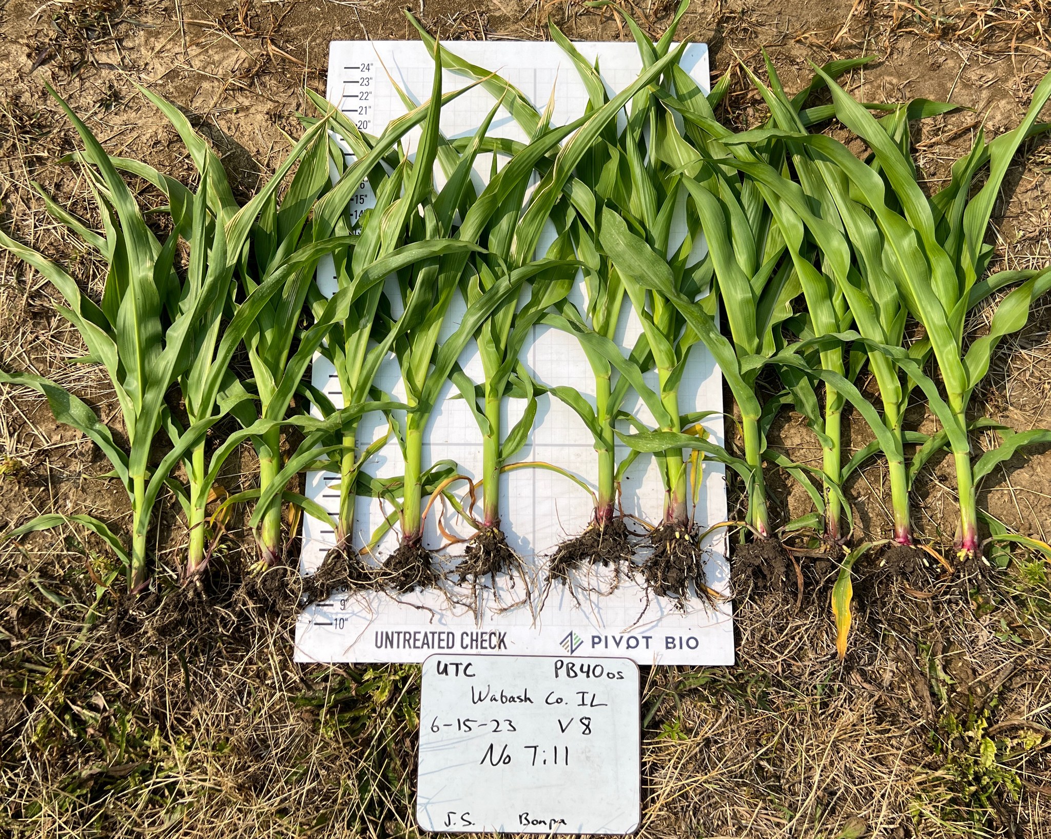 Pivot Bio - Pivot Bio agronomist Allen Parrish checked on... | Facebook