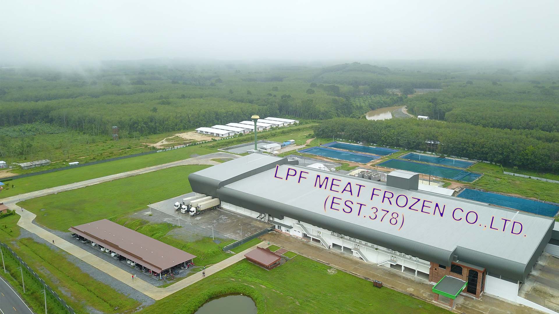 LPF Meat Frozen | Amphoe Rattaphum