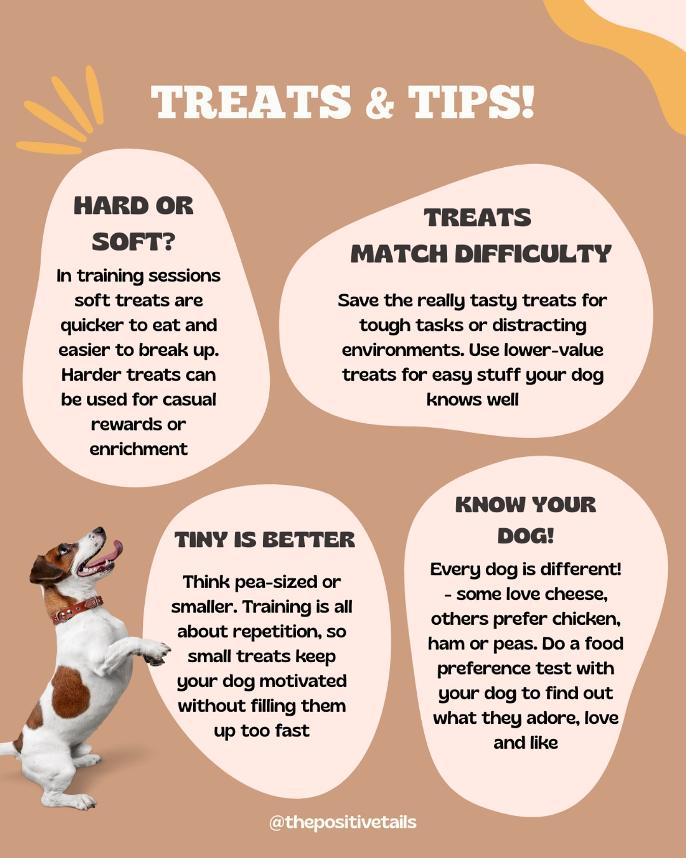 Positive Tails Dog Services | Orpington