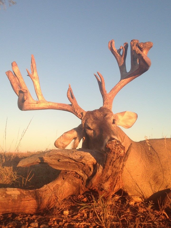S4 Ranch | Woodson TX