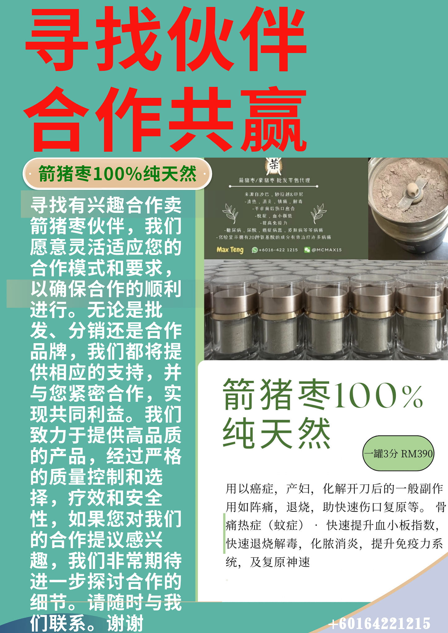 荣100％正品河猪枣/箭猪枣/豪猪枣 | Bangi