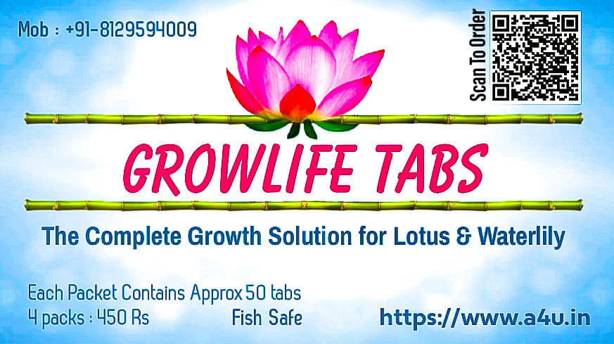GrowLife Tabs : The Organic Fertilizer Tablets | Paippad