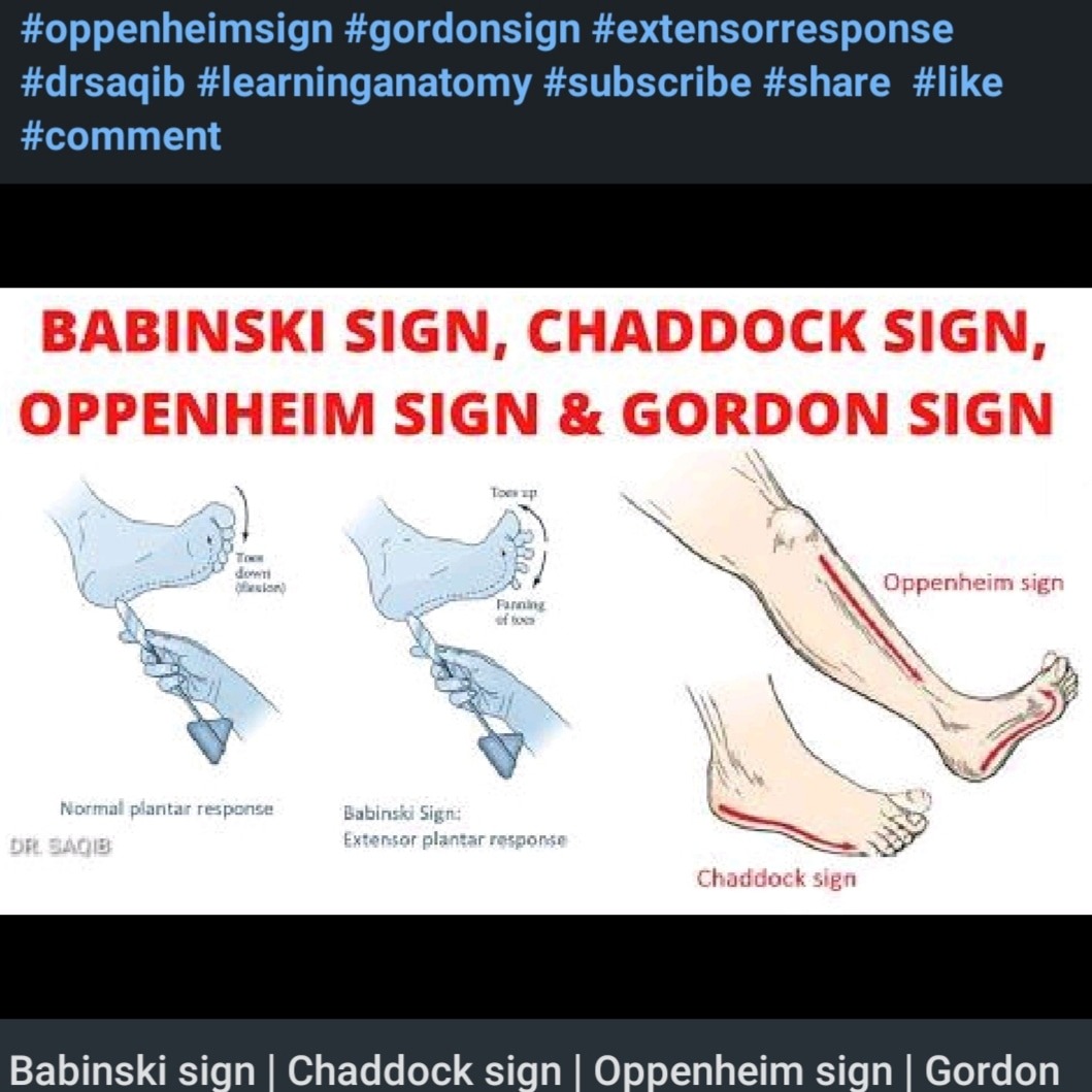 An amazing video by #learninganatomy by... - Learning Anatomy